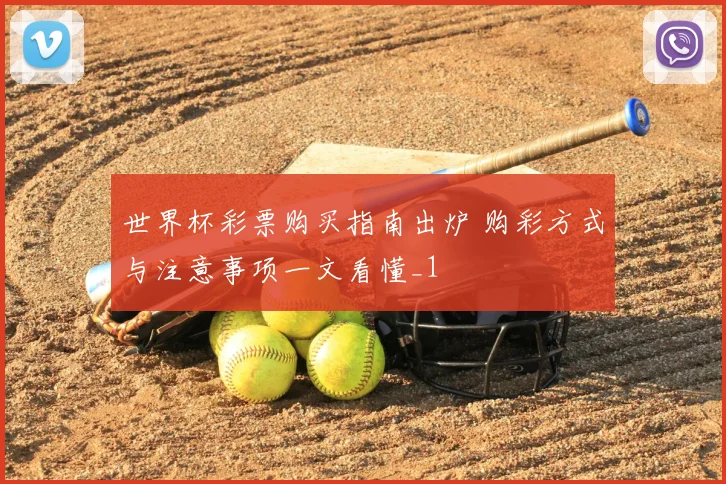 世界杯彩票购买指南出炉 购彩方式与注意事项一文看懂_1